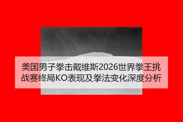 美国男子拳击戴维斯2026世界拳王挑战赛终局KO表现及拳法变化深度分析